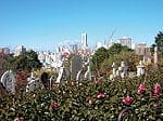 特集 歩いて知る　開港150周年の横浜の魅力　横浜外国人墓地（撮影／森日出夫）