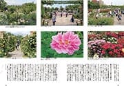 特集 59号 イギリスと横浜